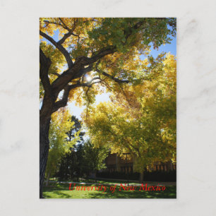 Herbst auf Campus II Postkarte