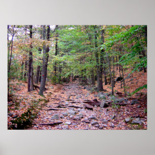 Herbst auf dem Blue Hills Reservation Red Dot Trai Poster