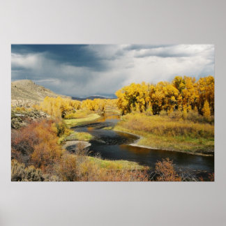 Herbst auf dem Gunnison River, Colorado Poster