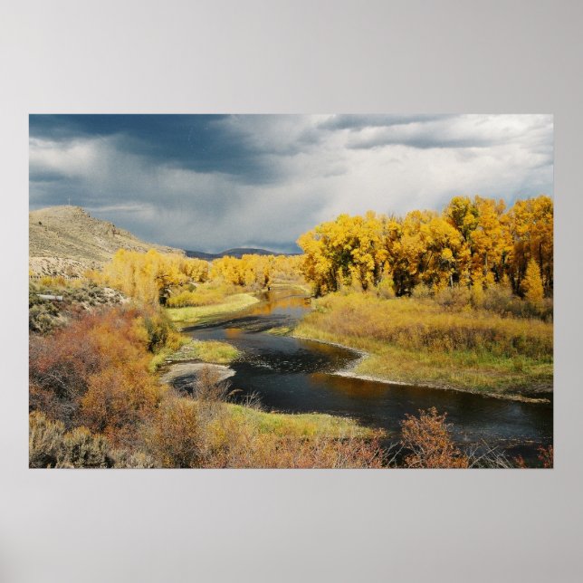 Herbst auf dem Gunnison River, Colorado Poster (Vorne)