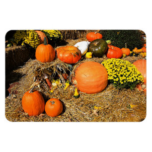 Herbst auf dem Platz Magnet