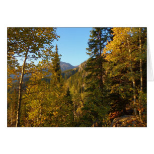 Herbst auf dem Weg zum Traumsee