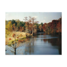 Herbst auf der Bayou Postkarte