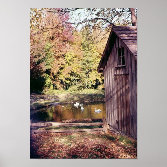 Herbst auf der Bronte Creek Poster (Vorne)