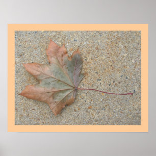 Herbst auf der Sidewalk Poster