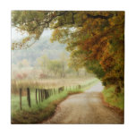 Herbst auf einer Landstraße Fliese<br><div class="desc">Zuhause Décor</div>