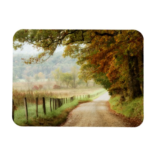 Herbst auf einer Landstraße Magnet (Horizontal)