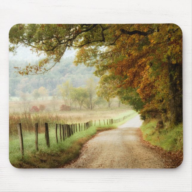 Herbst auf einer Landstraße Mousepad (Vorne)