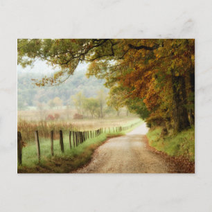 Herbst auf einer Landstraße Postkarte