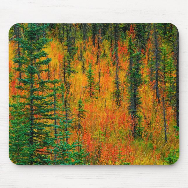 Herbst auf einer Wiese Mousepad (Vorne)