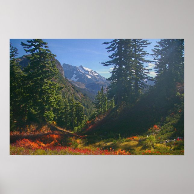 Herbst auf Mount Shuksan Print Poster (Vorne)