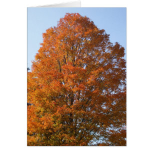 Herbst-Baum-Leere Karte