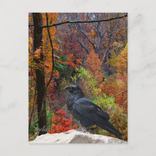 Herbst Bäume mit Crow saisonale Postkarte