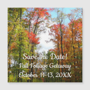 Herbst Bäume und Blauer Himmel Save the Date Magnetkarte