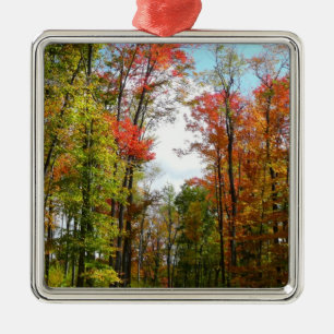 Herbst Bäume und Blue Sky Herbst Natur Fotografie Silbernes Ornament