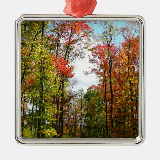 Herbst Bäume und Blue Sky Herbst Natur Fotografie Silbernes Ornament (Vorne)