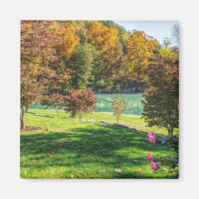 Herbst bei Dogwood Magnet (Vorne)