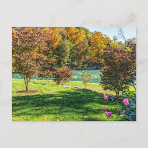 Herbst bei Hogwood Postcard Postkarte
