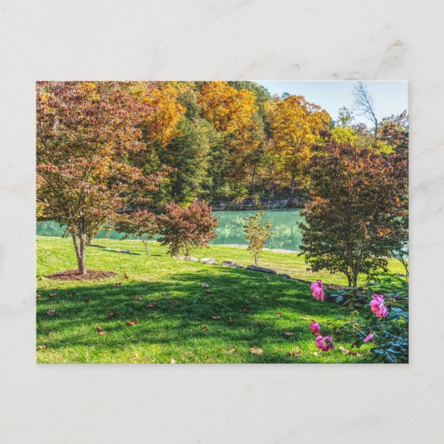 Herbst bei Hogwood Postcard Postkarte (Vorderseite)