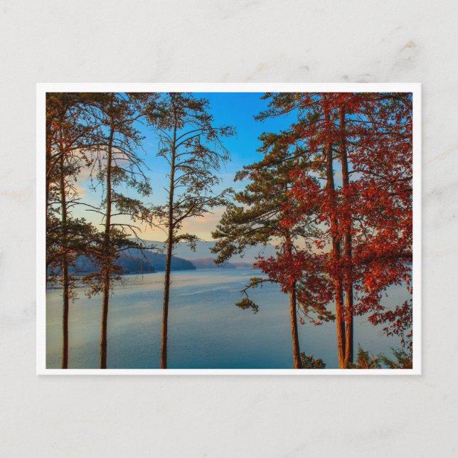 Herbst bei SoHo Postkarte (Vorderseite)