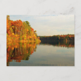 Herbst bei Walden Postkarte