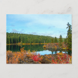 Herbst beim Clear Lake Postcard Postkarte