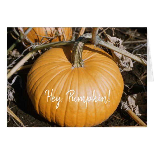 Herbst Big Orange HALLOWEEN Pumpkin Fall Squash (Vorderseite (Horizontal))