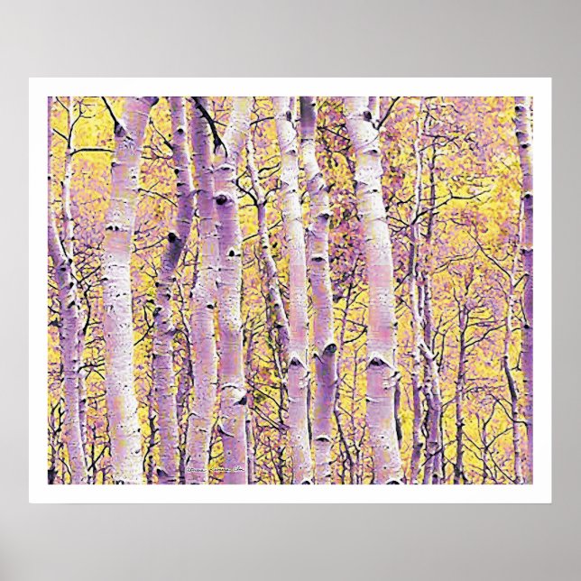 Herbst Birch Poster (Vorne)