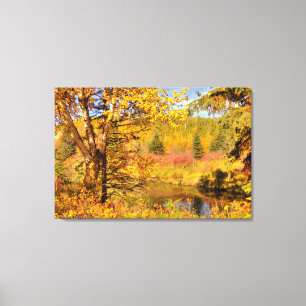 Herbst-Birke Leinwanddruck