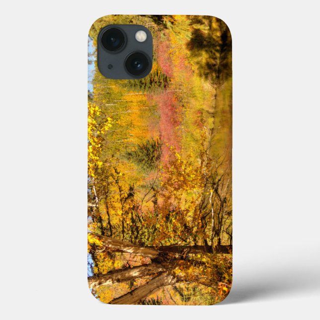 Herbst-Birken-Baum Case-Mate iPhone Hülle (Rückseite)