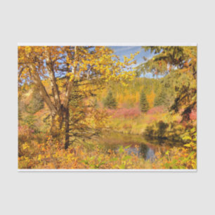 Herbst-Birken-Baum Seidenpapier