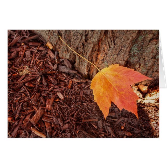 Herbst-Blatt-leere Karte (Vorderseite (Horizontal))
