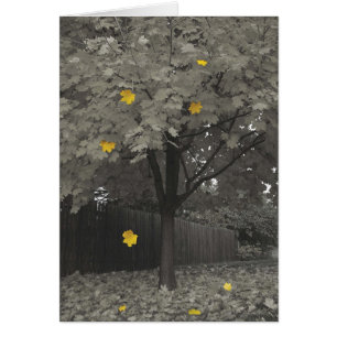 Herbst-Blätter