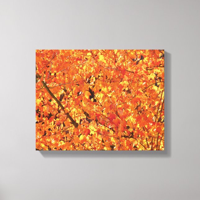 Herbst Blätter auf Baum - Foto. Leinwanddruck (Vorderseite)