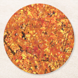 Herbst Blätter auf Baum - Foto. Runder Pappuntersetzer