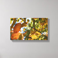 Herbst-Blätter Herbst Blätter Naturbaum Fotografie