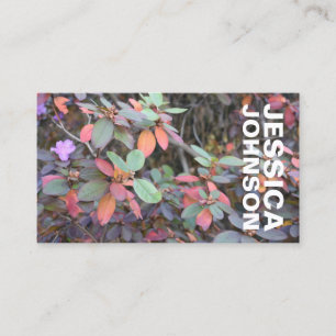 Herbst-Blätter Herbst Blätter Naturbaum Fotografie Visitenkarte