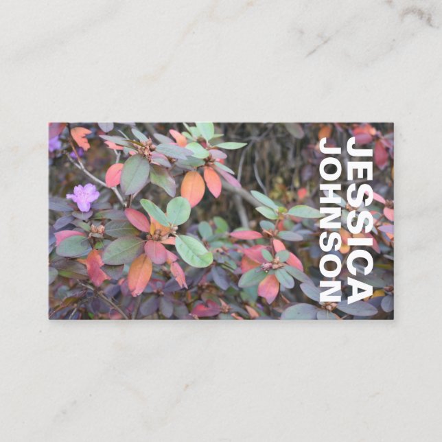 Herbst-Blätter Herbst Blätter Naturbaum Fotografie Visitenkarte (Vorderseite)