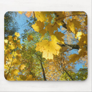 Herbst-Blätter im Himmel Mousepad