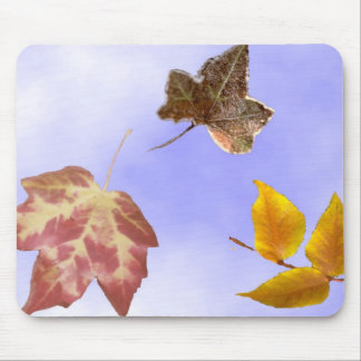 Herbst-Blätter Mousepad