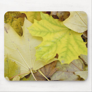 Herbst-Blätter Mousepad