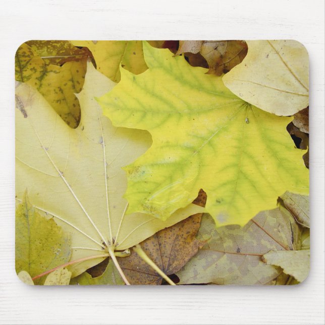 Herbst-Blätter Mousepad (Vorne)