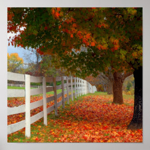 Herbst-Blätter Poster