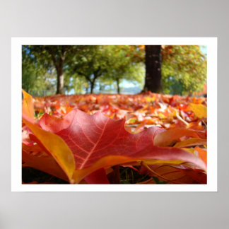 Herbst-Blätterkunstdrucke Fall-Baumnaturgewohnheit Poster