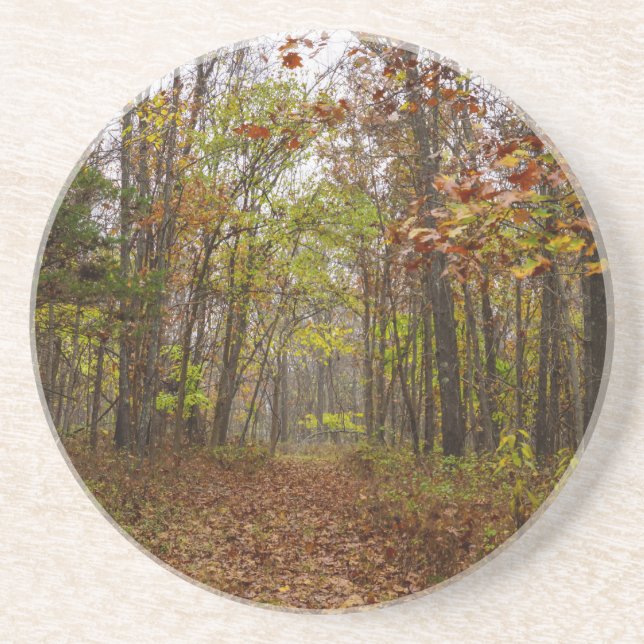 Herbst Bliss Sandstein Untersetzer (Vorne)
