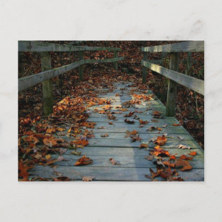 Herbst-Brücke Postkarte