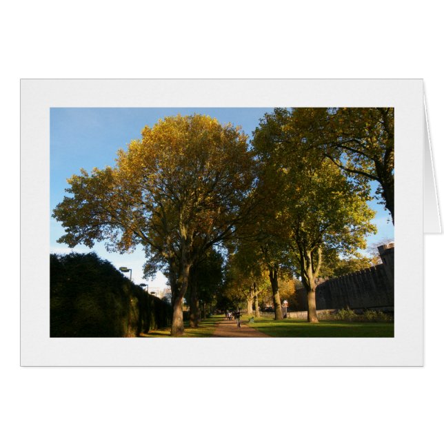 Herbst, Bute Park, Cardiff (angrenzend) (Vorderseite (Horizontal))