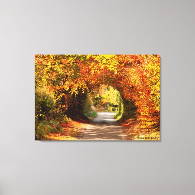 Herbst, Canvas Print, Gelber Bog Kilcullen Leinwanddruck (Vorderseite)