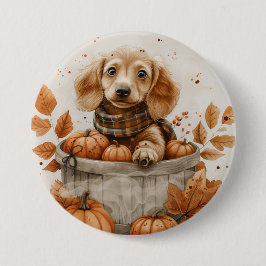 Herbst Dackel Hunde Pumpkin Button