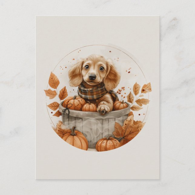 Herbst Dackel Hunde Pumpkin Postkarte (Vorderseite)